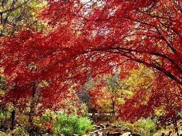 春季三月西安周邊旅游景點(diǎn)推薦好吃好玩的好地方