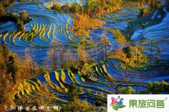 元陽縣屬于哪個(gè)市?元陽梯田在哪里?為什么叫元陽縣
