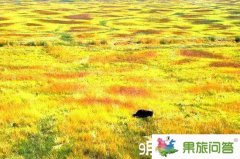 今年9月想去麗江昆明大理旅游好嗎
