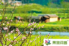 云南壩美旅游最佳時間和季節(jié)