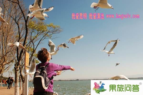 我愛(ài)昆明 我愛(ài)滇池