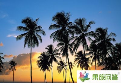 【昆明直飛三亞】瀟灑蜈支洲——天涯海角、蜈支洲島、南山文化苑