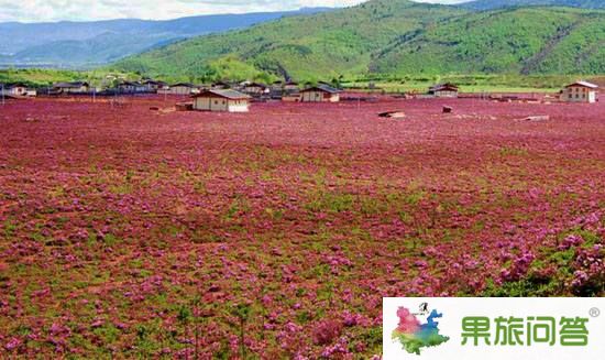 昆明、大理、麗江、瀘沽湖、西雙版納生態(tài)休閑之旅【帶石林九鄉(xiāng)】