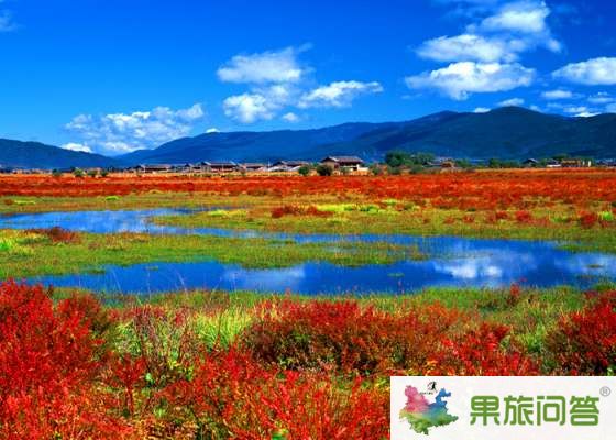 昆明、大理、麗江、香格里拉 7晚8天 生態(tài)休閑之旅