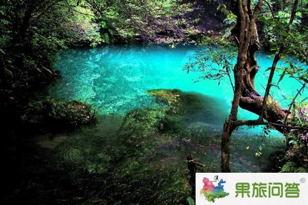 昆明、大理、麗江、西雙版納”7晚8天生態(tài)休閑之旅
