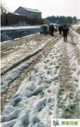 去云南旅游遇上大雪 被困大理到麗江的山頂上