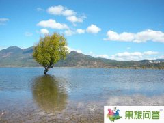 最新大年初一跟團游云南日記【火車篇】