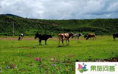 昆明國旅告訴您，云南旅游怎樣管住自己的錢包