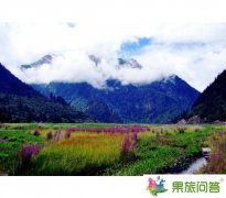 在從云南歸來的陽光午后—云南游記