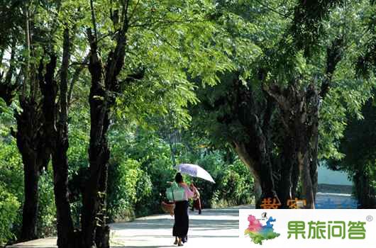 云南旅游自由自在散客游--西雙版納 在從云南歸來(lái)的陽(yáng)光午后—云南游記