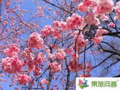 同學(xué)們?nèi)ピ颇下糜畏抢ッ鲊貌桓? width=