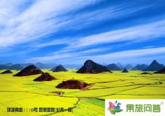 云南旅游別錯(cuò)過了羅平花海我的故鄉(xiāng)