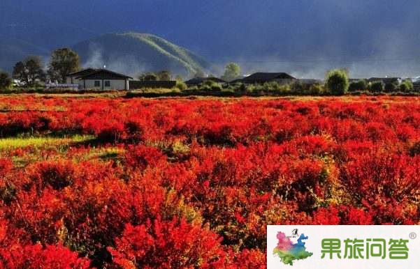 超值休閑游—麗江、香格里拉、大理六日游 HX