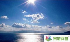 滇池湖濱生態(tài)濕地吸引了許多鳥類 消失已久的喜鵲、烏鴉又回到昆明