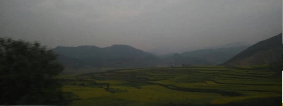 云南羅平油菜花已經(jīng)開了，你還等什么？