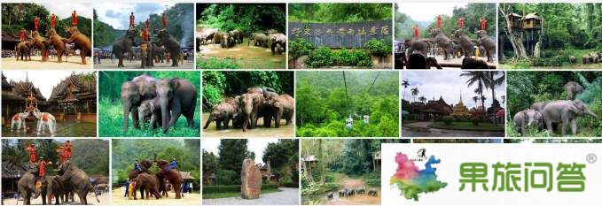 西雙版納（野象谷、熱帶植物園）組圖