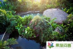 騰沖荷花森林溫泉門票成人票價(jià)現(xiàn)在是多少錢
