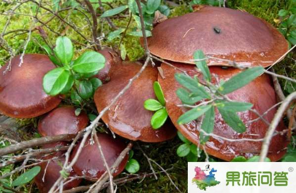 云南有什么好吃的？