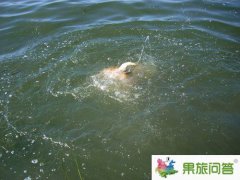 <b>大理洱海水有多深|大理洱海有沒有水怪？</b>