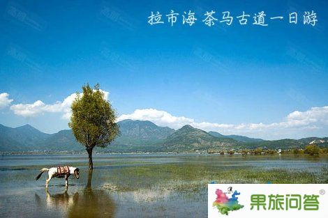 麗江拉市海_情侶蜜約麗江—云南旅游可千萬別錯(cuò)過了麗江